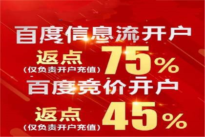 案例解析：竞价广告效果评估与优化